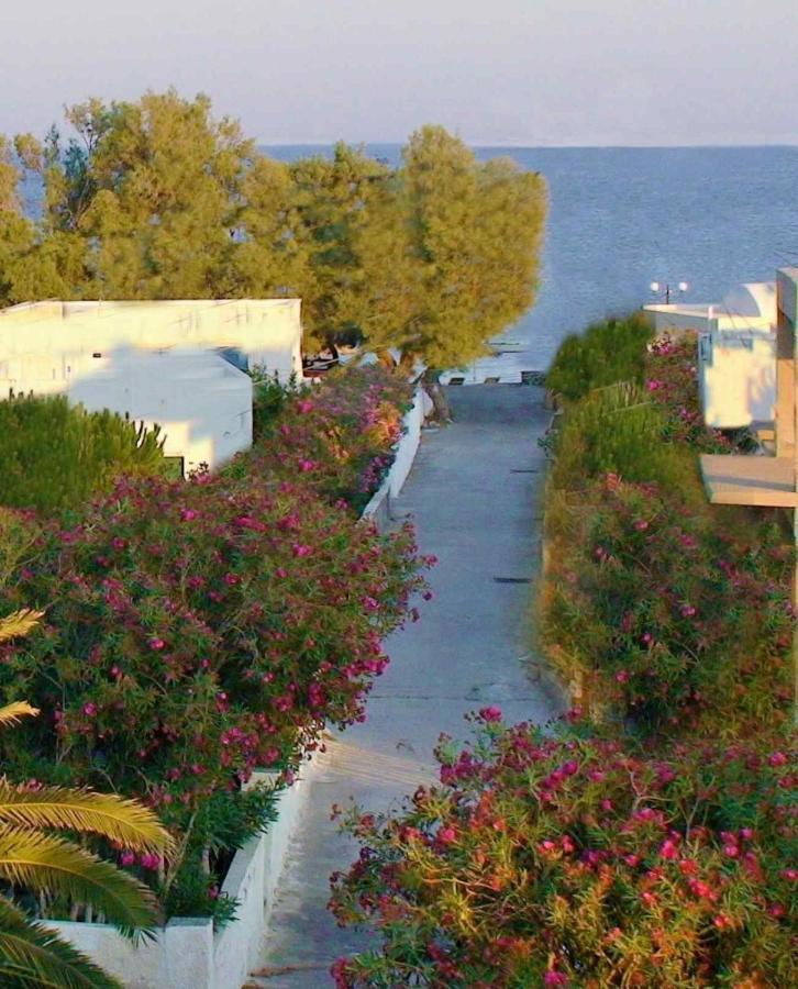 Located By The Sea One Beachfront Private Captain Lazaros Pool Villa With Loft In 750Sqm Spacious Private Plot-Jacuzzi-Sunrelax-Furnished Terace-Gazebo-Private Parking,Sleep 3 Adults And 2 Children, Just Steps From The Black Beach-Seaview Периса Екстериор снимка
